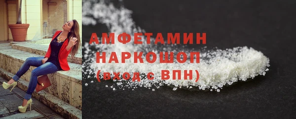 индика Балахна
