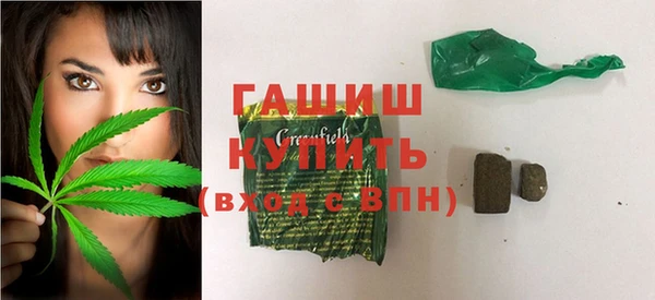 индика Балахна