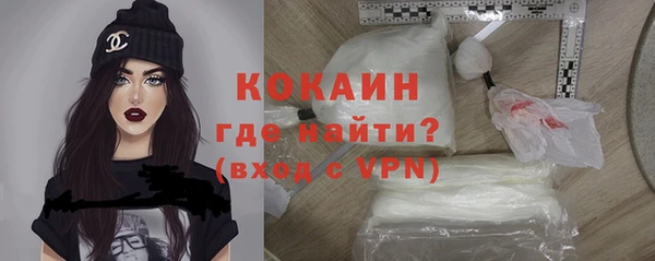 индика Балахна