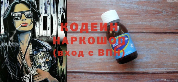 индика Балахна