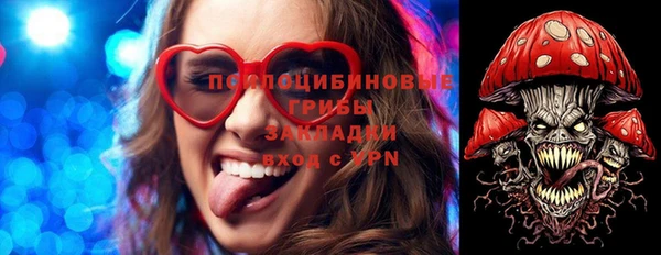 гидропоника Балабаново