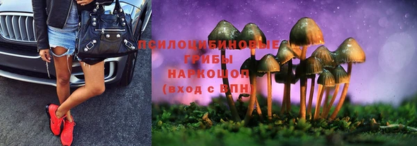 гидропоника Балабаново