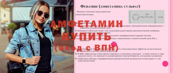 индика Балахна